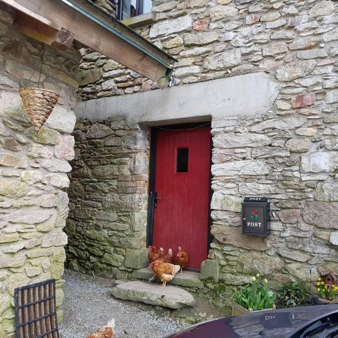 Kingsford Renovated Old Cottage Wexford Esterno foto