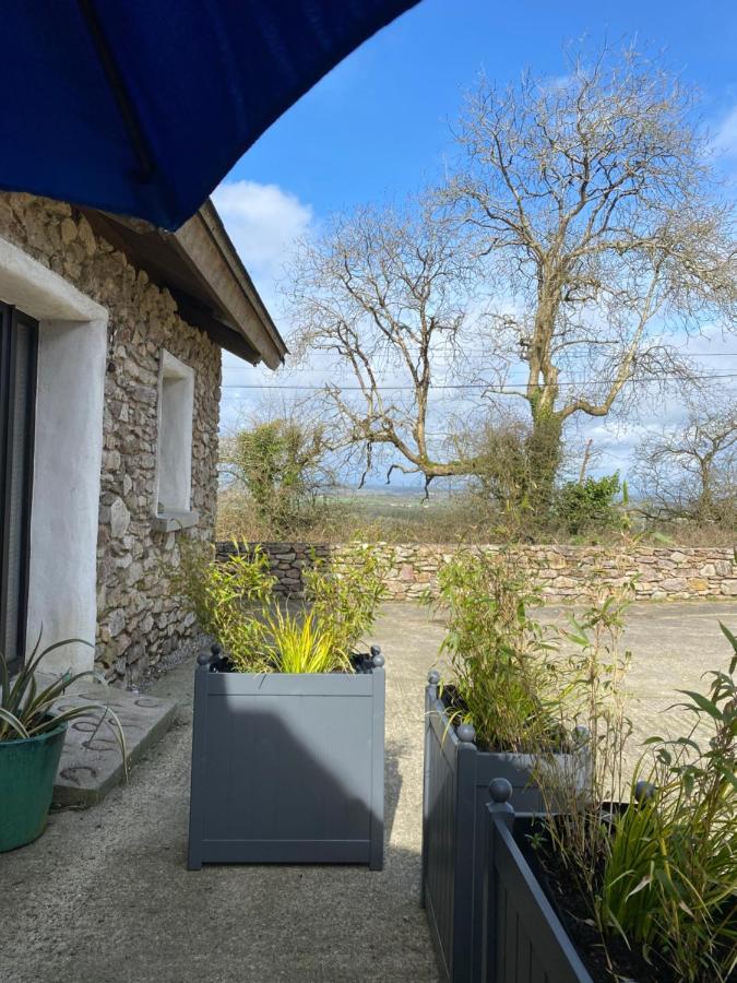 Kingsford Renovated Old Cottage Wexford Esterno foto
