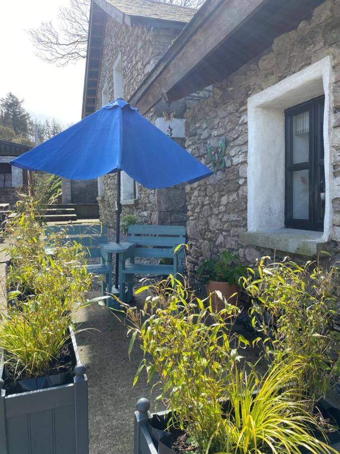 Kingsford Renovated Old Cottage Wexford Esterno foto